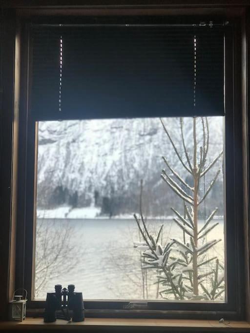 Apartment With Lake View In Jolster Årdal Zewnętrze zdjęcie