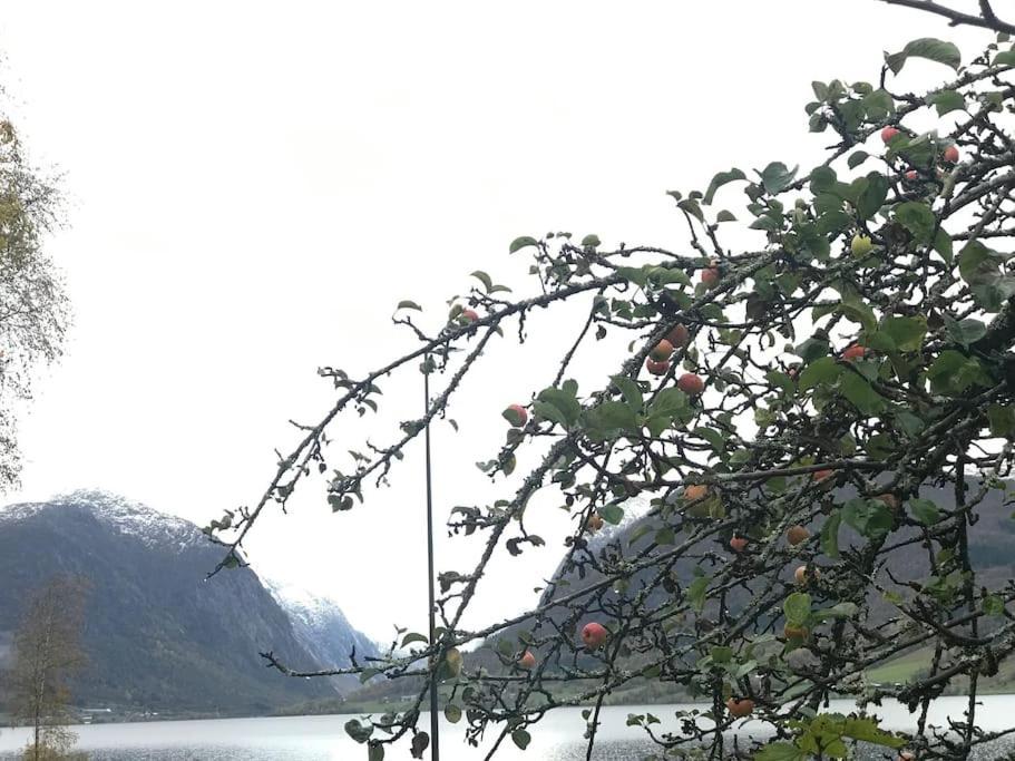 Apartment With Lake View In Jolster Årdal Zewnętrze zdjęcie